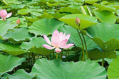 外媒评15款最佳线性游戏 《最后的生还者》在列